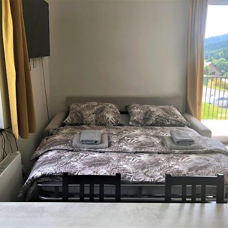 Apartman U Lomu Dolni Morava Exterior photo