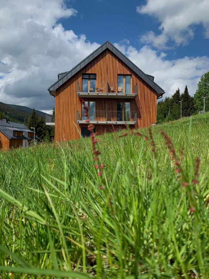 Apartman U Lomu Dolni Morava Exterior photo