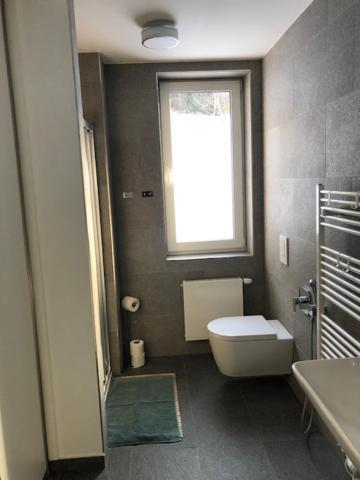 Apartman U Lomu Dolni Morava Exterior photo